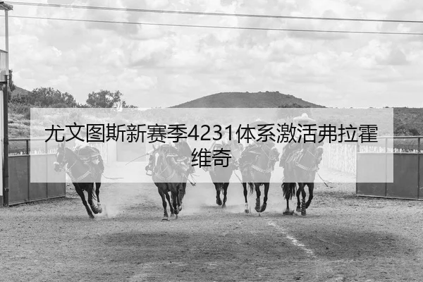 尤文图斯新赛季4231体系激活弗拉霍维奇